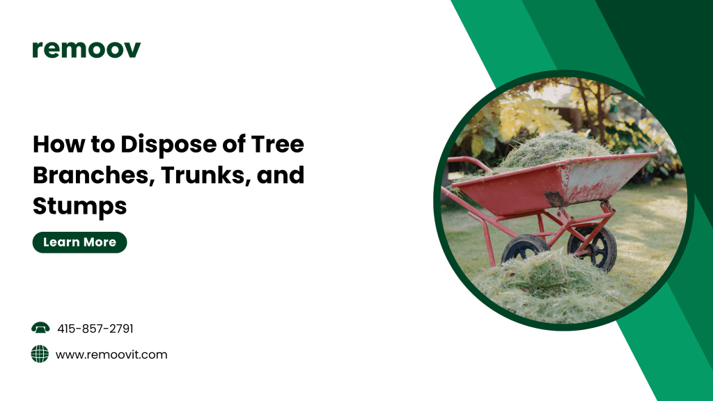 How to Dispose of Tree Branches, Trunks, and Stumps
