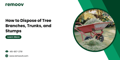 How to Dispose of Tree Branches, Trunks, and Stumps