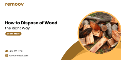 How to Dispose of Wood the Right Way