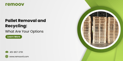 Pallet Removal and Recycling What Are Your Options
